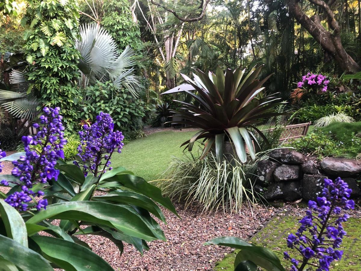 Cooroy Eden Rest Bed & Breakfast エクステリア 写真